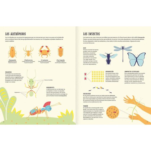 Insectopedia - Imagen 4
