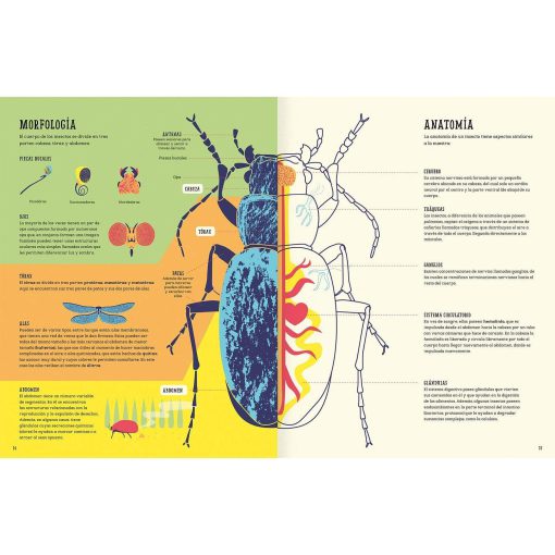 Insectopedia - Imagen 5
