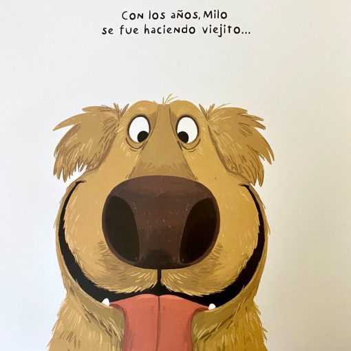 En mi Corazón - Imagen 4